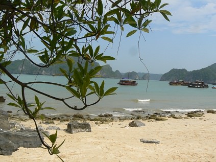 P1180447.JPG