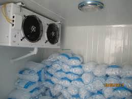 ice1.jpg