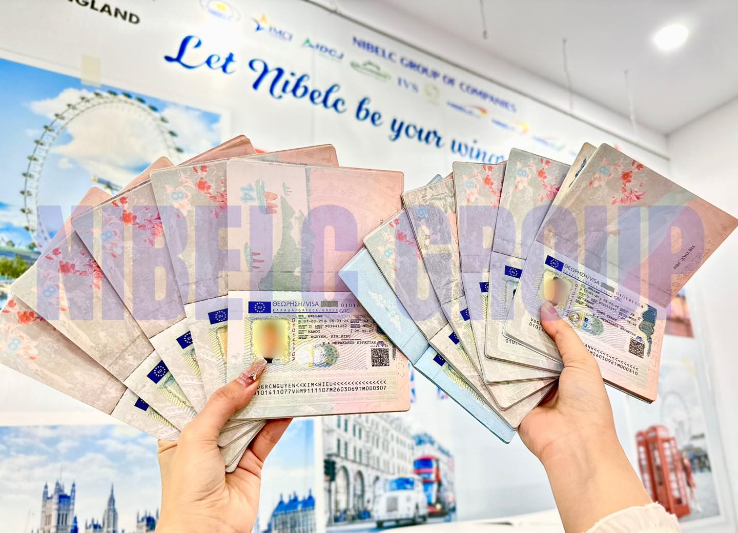 NIBELC VỪA NHẬN THÊM 11 VISA ĐƠN GÀ HY LẠP