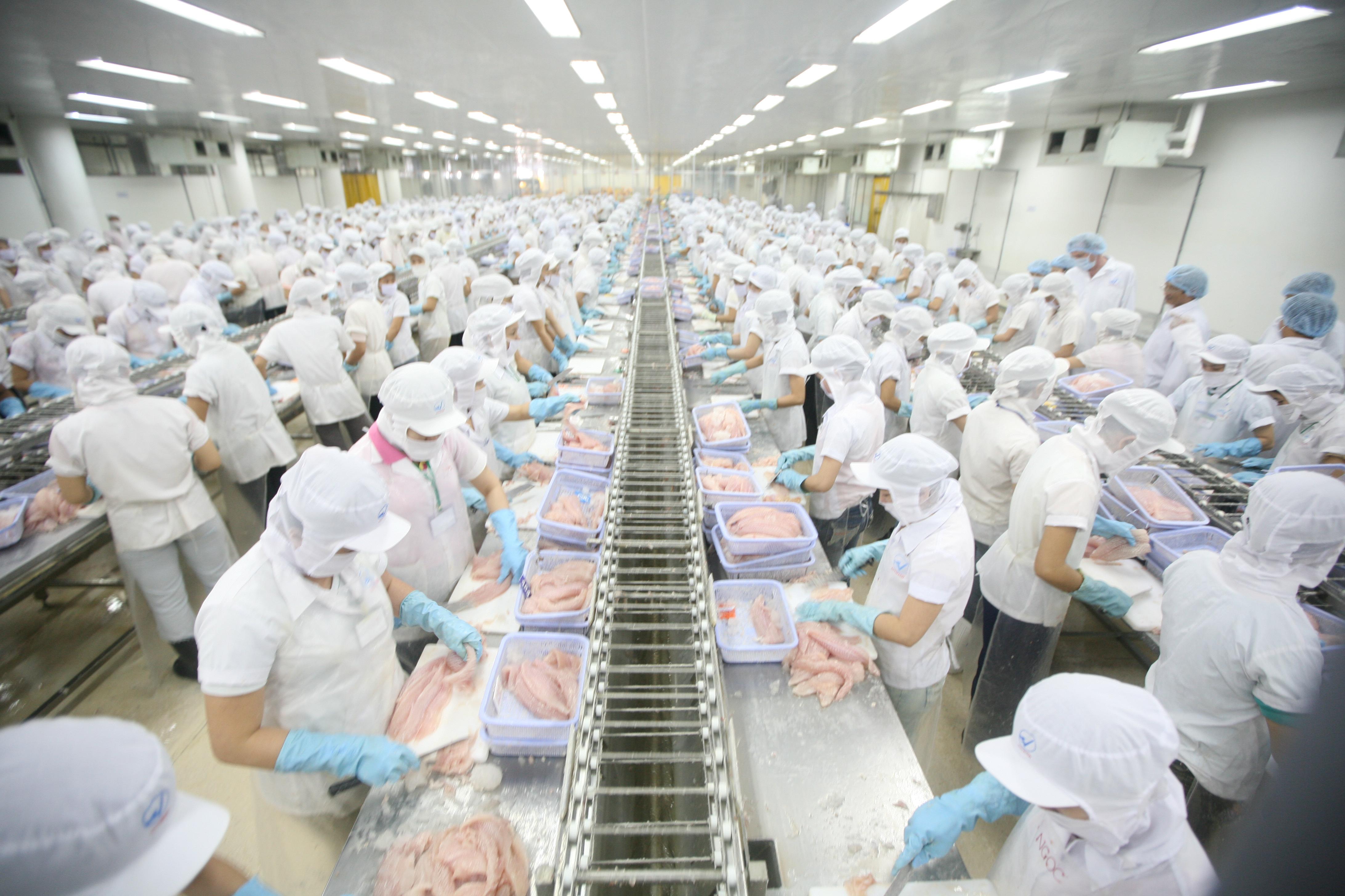 TUYỂN DỤNG XUẤT KHẨU LAO ĐỘNG TẠI NHẬT BẢN - ĐƠN HÀNG THỦY SẢN