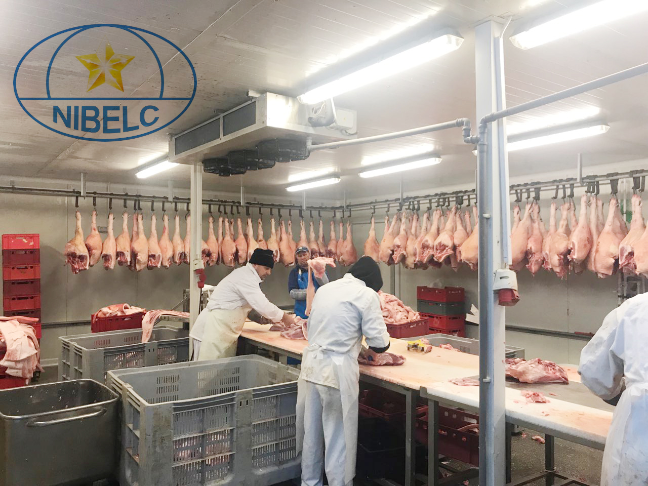 NIBELC Group tuyển dụng lao động làm việc tại các nhà máy Schengen - Châu Âu - 2020